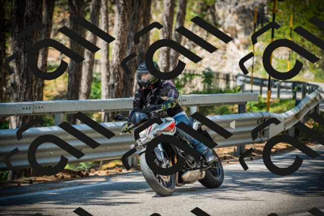 202507191209-DSC04045_c1_