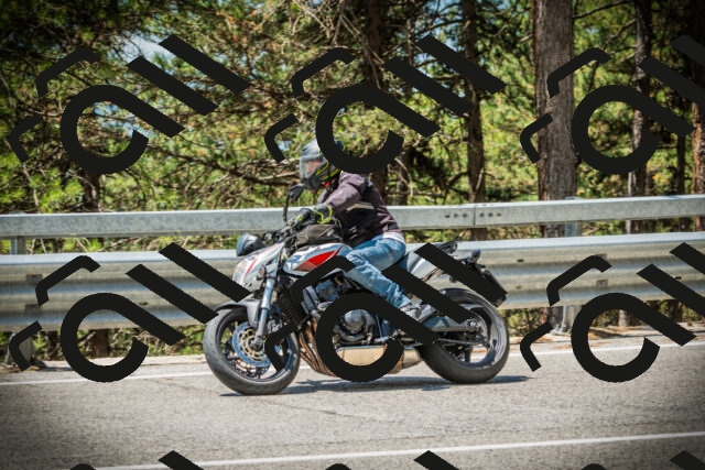 202507191209-DSC04046_c1_