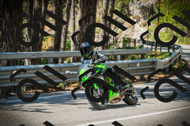 202507191210-DSC04056_c1_