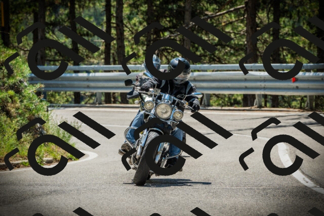 202507191212-DSC04072_c1_