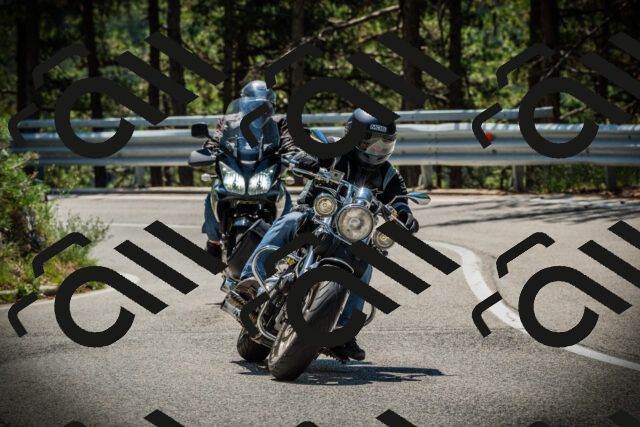 202507191212-DSC04073_c1_