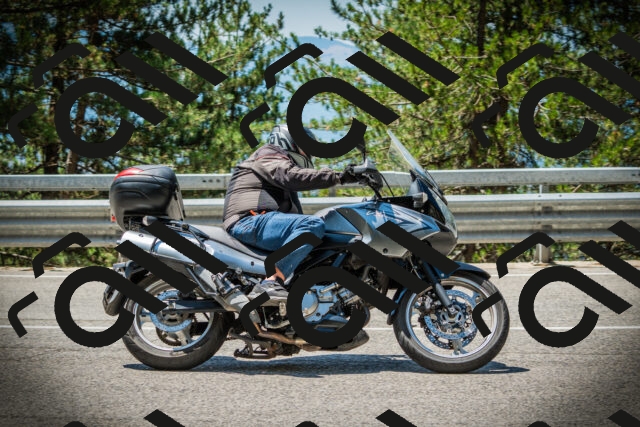 202507191212-DSC04075_c1_