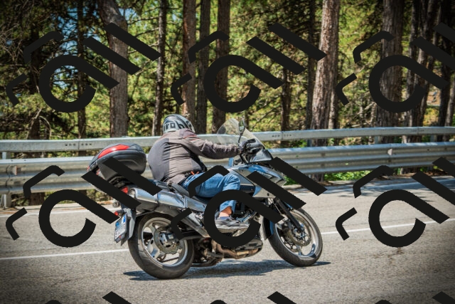 202507191212-DSC04076_c1_