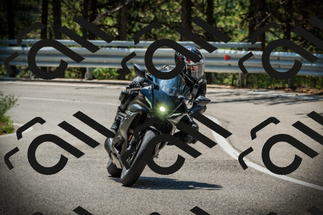 202507191212-DSC04082_c1_