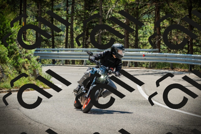 202507191214-DSC04093_c1_