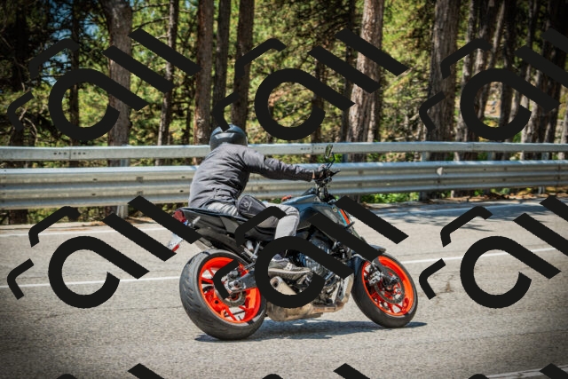 202507191214-DSC04096_c1_