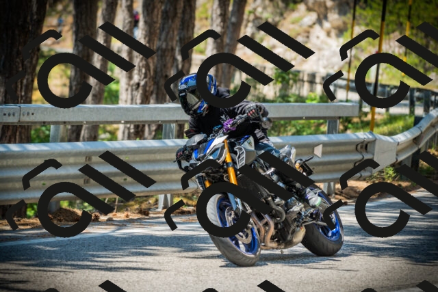 202507191219-DSC04101_c1_