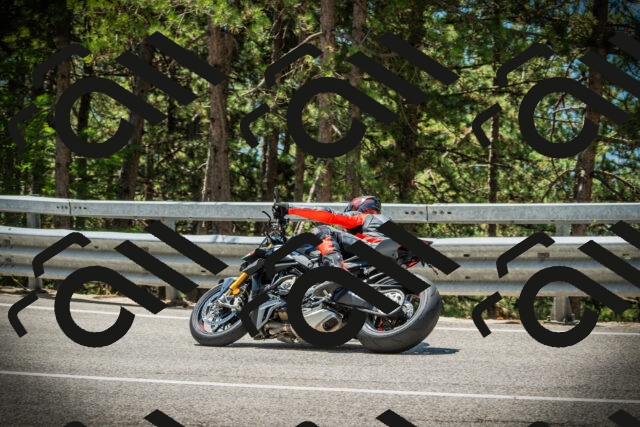 202507191219-DSC04104_c1_