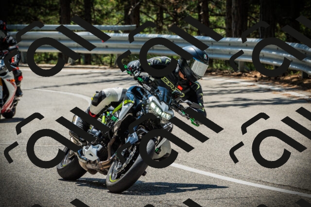 202507191220-DSC04123_c1_