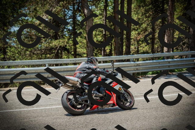 202507191220-DSC04126_c1_