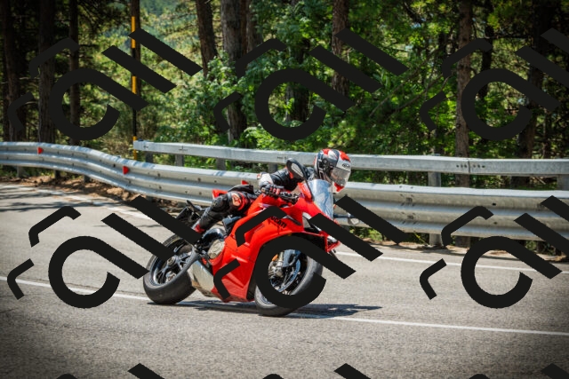 202507191220-DSC04138_c1_