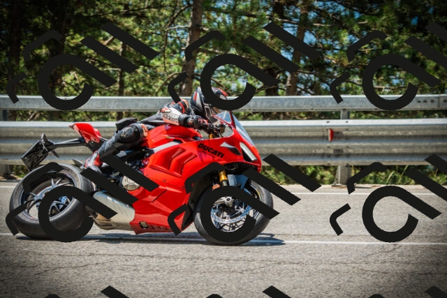 202507191220-DSC04139_c1_