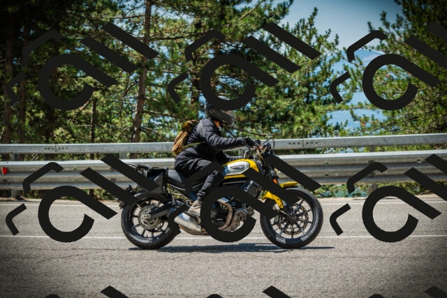 202507191221-DSC04142_c1_