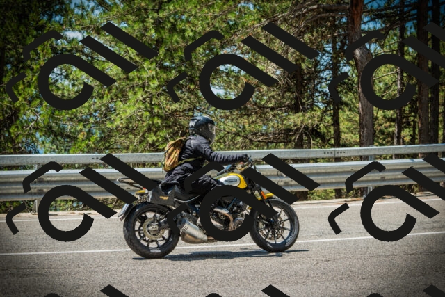 202507191221-DSC04143_c1_