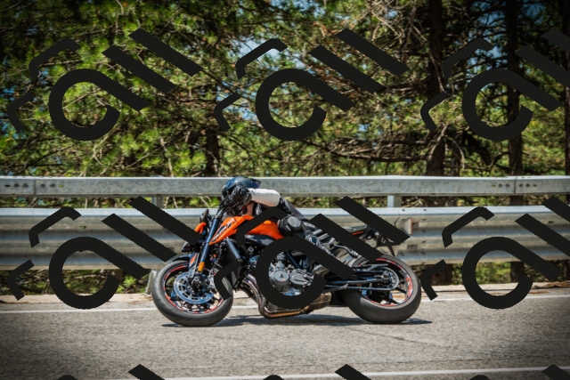 202507191221-DSC04152_c1_