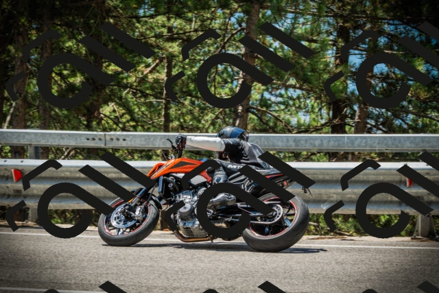 202507191221-DSC04153_c1_