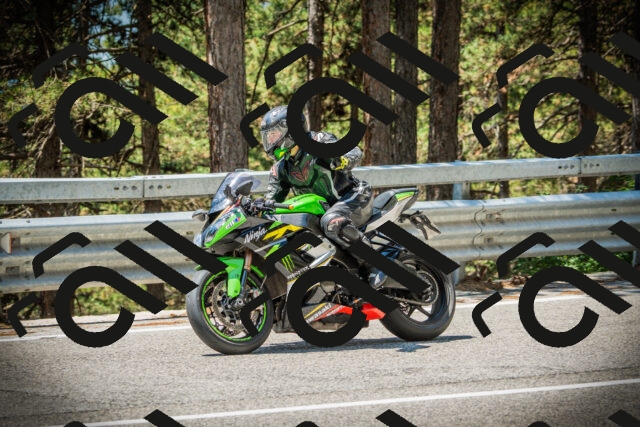 202507191221-DSC04155_c1_