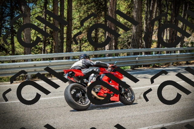 202507191222-DSC04163_c1_