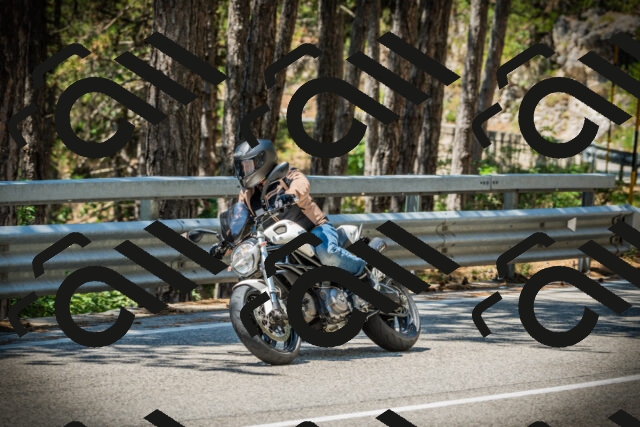 202507191222-DSC04165_c1_