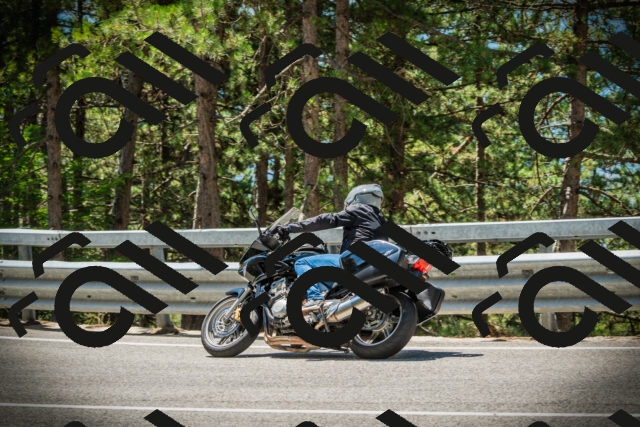 202507191222-DSC04168_c1_