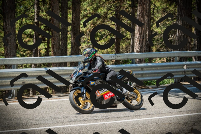 202507191223-DSC04176_c1_