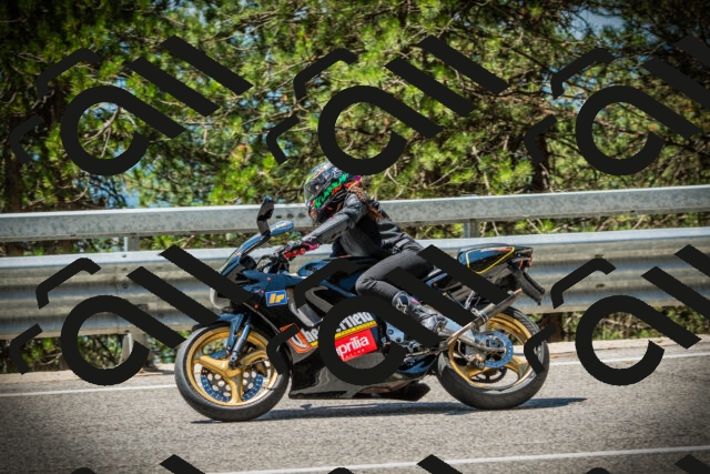 202507191223-DSC04177_c1_