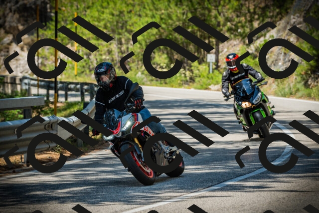 202507191223-DSC04181_c1_