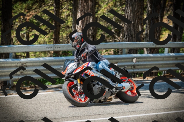 202507191223-DSC04182_c1_