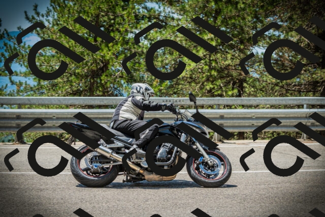 202507191225-DSC04190_c1_