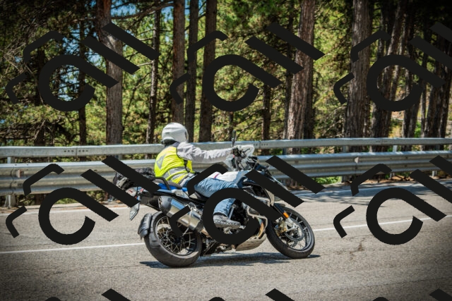 202507191227-DSC04204_c1_