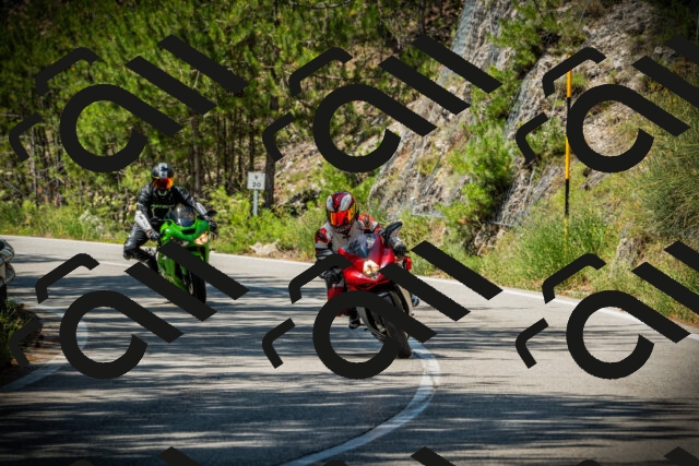 202507191227-DSC04209_c1_