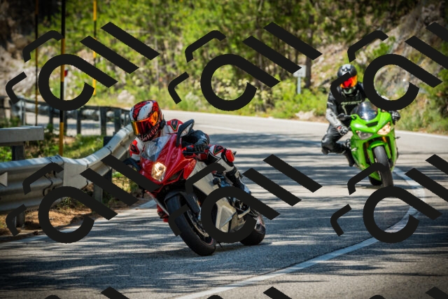 202507191227-DSC04211_c1_