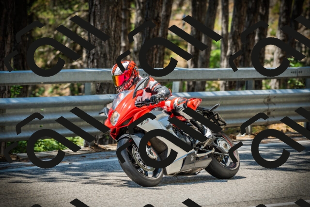 202507191227-DSC04212_c1_