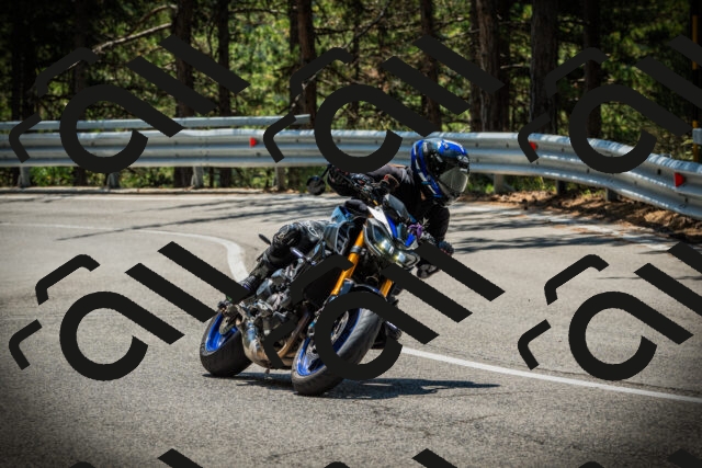 202507191228-DSC04226_c1_