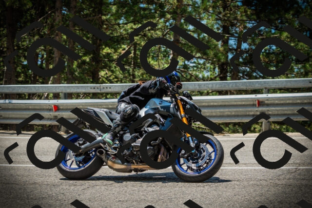 202507191228-DSC04227_c1_