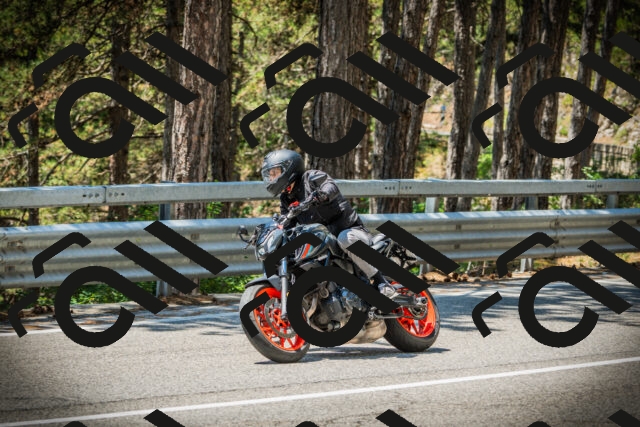 202507191228-DSC04238_c1_