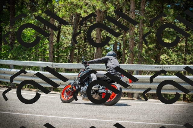 202507191228-DSC04239_c1_