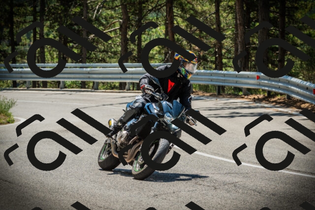 202507191229-DSC04244_c1_