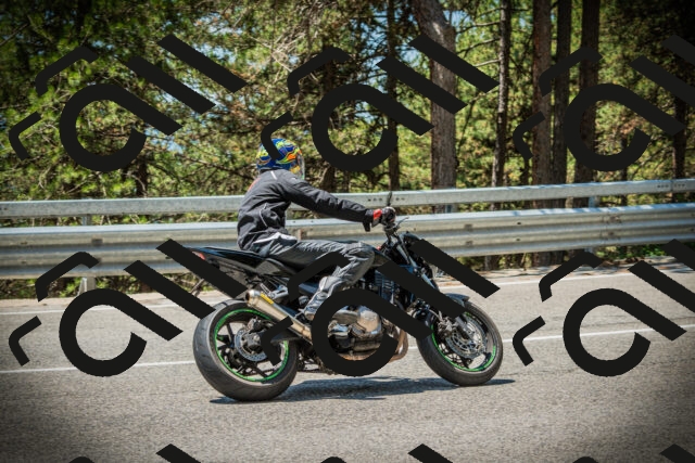 202507191229-DSC04246_c1_