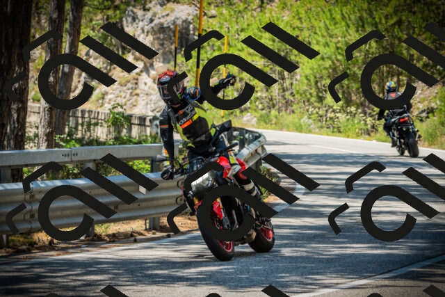 202507191229-DSC04248_c1_