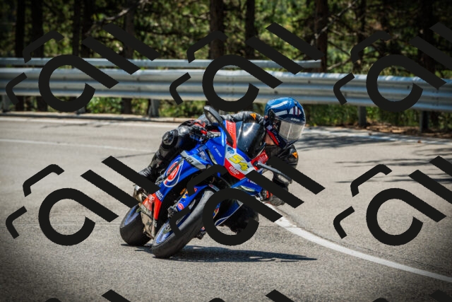 202507191229-DSC04256_c1_