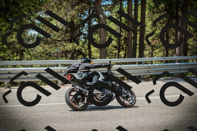 202507191229-DSC04271_c1_