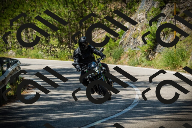 202507191229-DSC04273_c1_