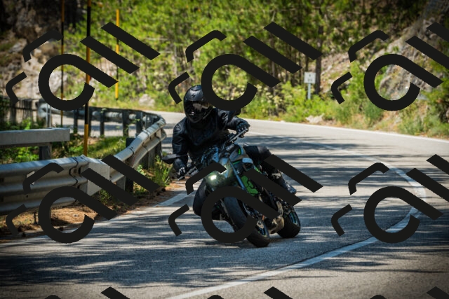 202507191229-DSC04274_c1_