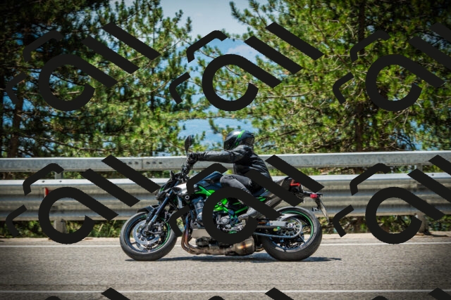 202507191229-DSC04276_c1_