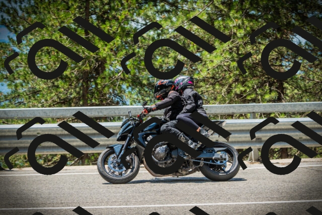 202507191230-DSC04281_c1_