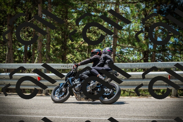 202507191230-DSC04282_c1_