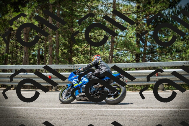 202507191231-DSC04298_c1_