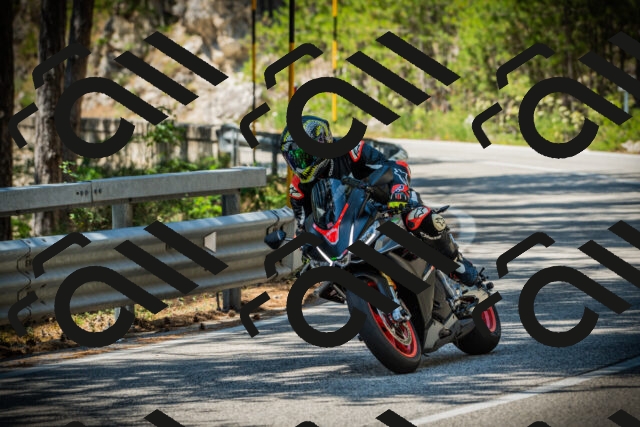 202507191231-DSC04300_c1_