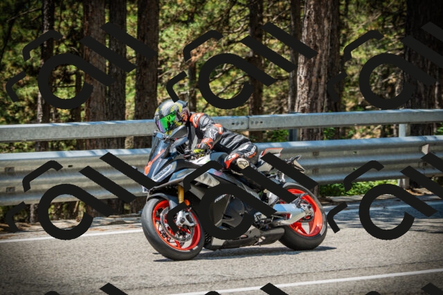 202507191231-DSC04301_c1_